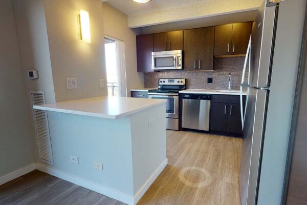 3D tour thumbnail for 1044 Downing unit 1001.