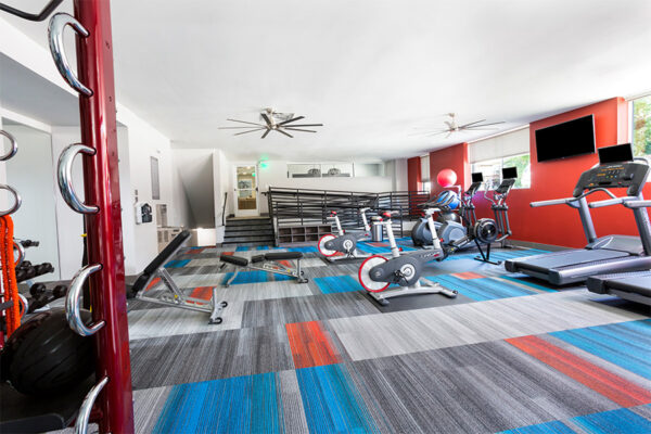 Fitness center with colorful carpet, cardio machines, and weightlifting equipment.