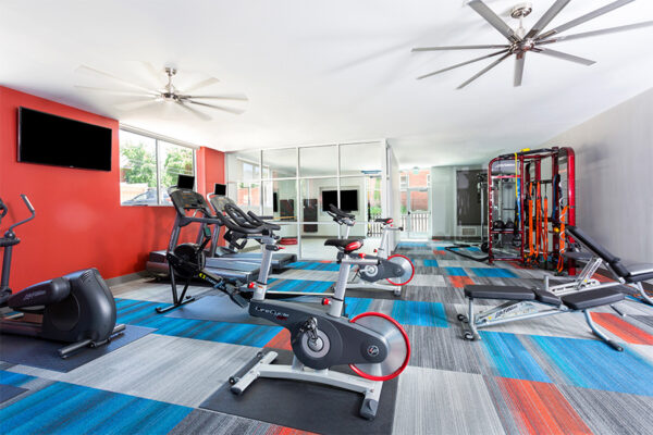 Fitness center with colorful carpet, cardio machines, and weightlifting equipment.