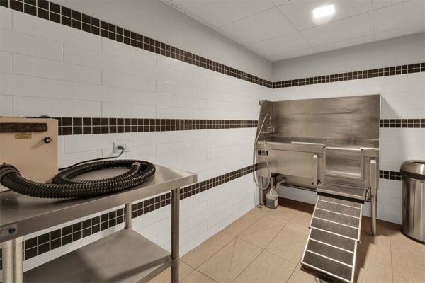 Pet wash station with dryer table and stainless steel dog wash basin.