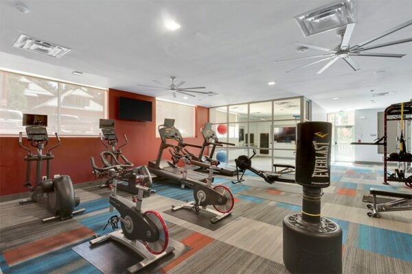 Fitness center with colorful carpet, large windows, ceiling fan, and cardio machines.