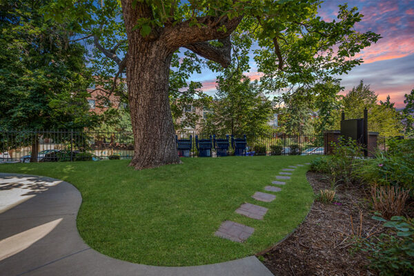 Courtyard with winding concrete path, lush lawns, and large tree.