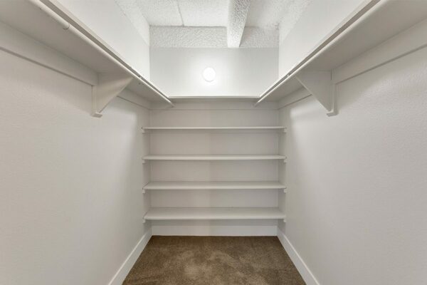 Walk in closet with carpet and built in shelves.