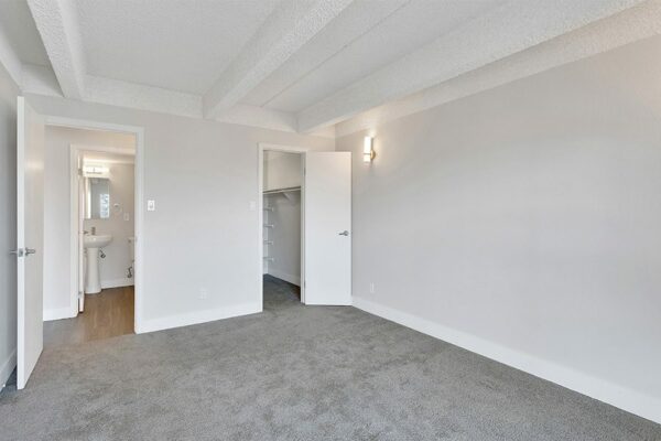 Bedroom with carpet, grey walls, white trim, and doors to hallway and closet.