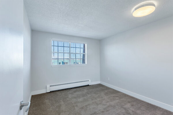 Bedroom with carpet, cool grey walls, baseboard heater, and large window.
