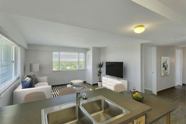 Apartment living space with comfortable living room and modern kitchen.