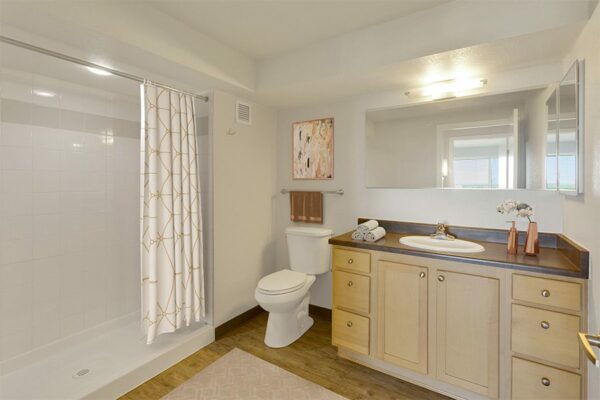 Bathroom with wood cabinets, stone counters, and large mirror.