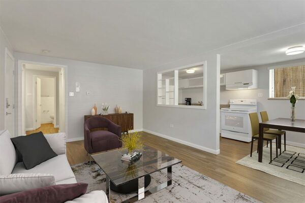 Apartment living area with comfortable living room and modern kitchen.