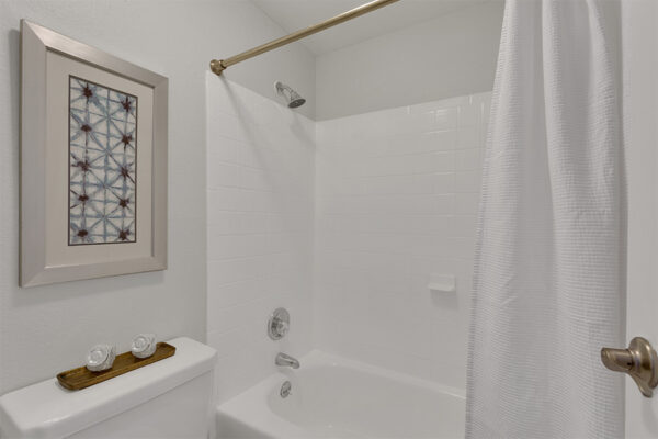 Bathroom with tiled shower tub and framed wall art.