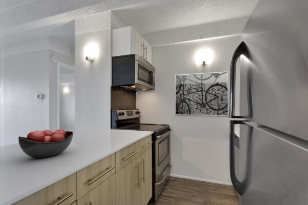 kitchen with stainless steel appliances and light wood cabinets