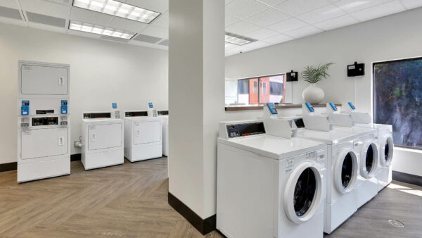 Laundry room with wood floor and washing machines.