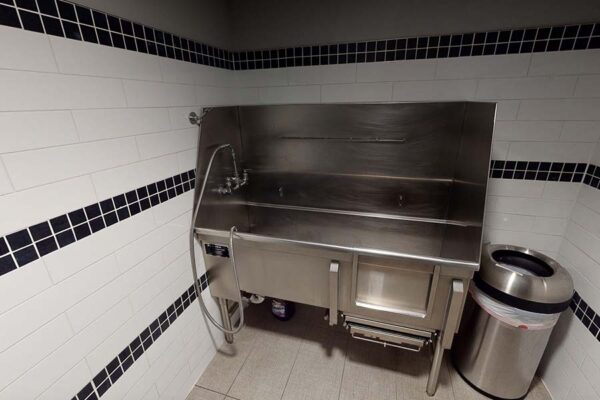 3D tour thumbnail for 1044 Downing dog wash.