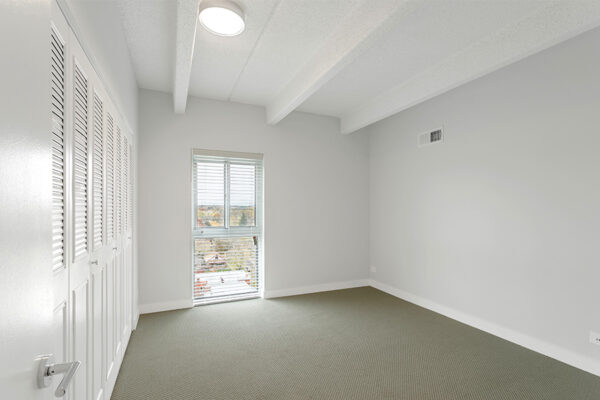 Bedroom with carpet, cool gray walls, closet door, and large window.