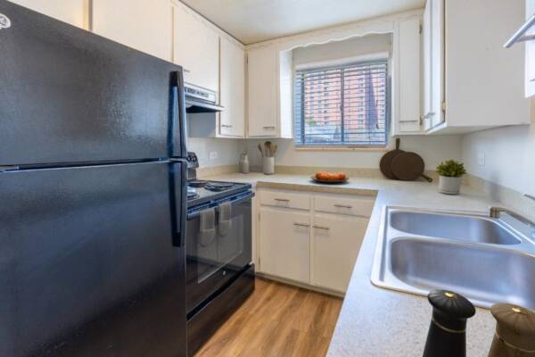 kitchen with fridge, stove, dink, and kitchen window