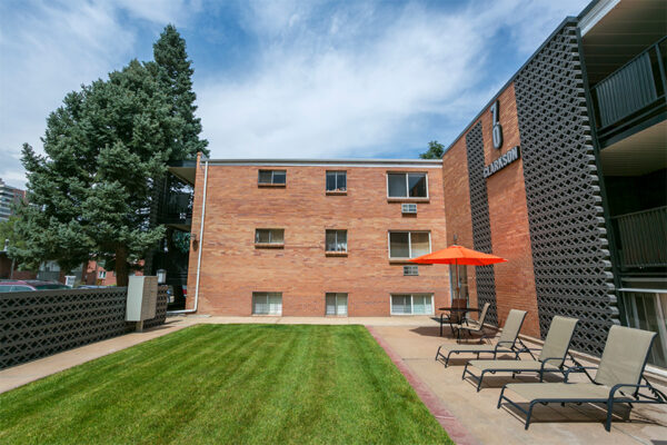 70 Clarkson apartment courtyard with lounge chairs and lawn overlooked by apartment balconies.