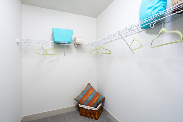 Walk in closet with carpet, wire shelving, and storage boxes.