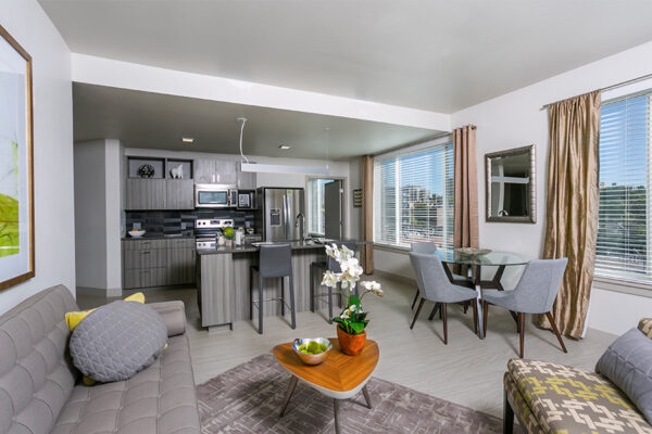 Apartment living space with wood floor, plush couch, dining table, and kitchen.