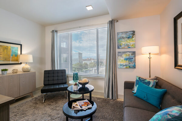 Apartment living room with geometric rug, plush furniture, artwork, and large window.