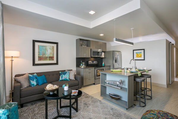 Apartment kitchen and living space with modern furniture, stainless steel appliances, and natural light.