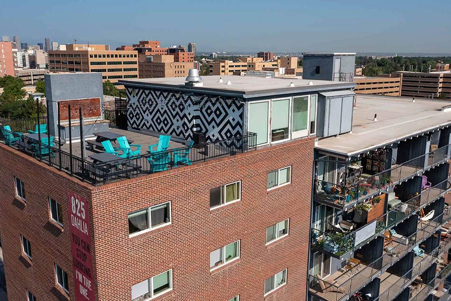 Image of The Dexters & Dahlias