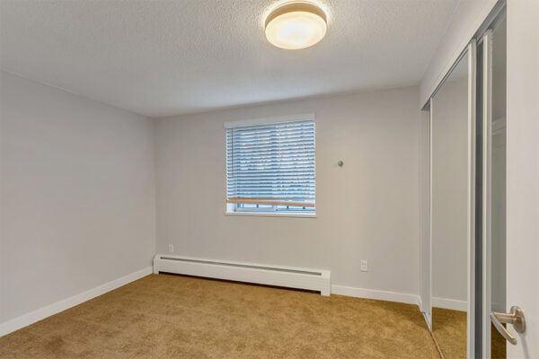 Bedroom with carpet, baseboard heater, mirror closet door, and large window.