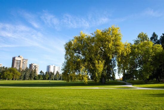 Cheesman Park with lush green lawns and tall trees.