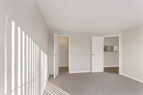 Bedroom with carpet, grey walls, white trim, and doors to living area and closet.