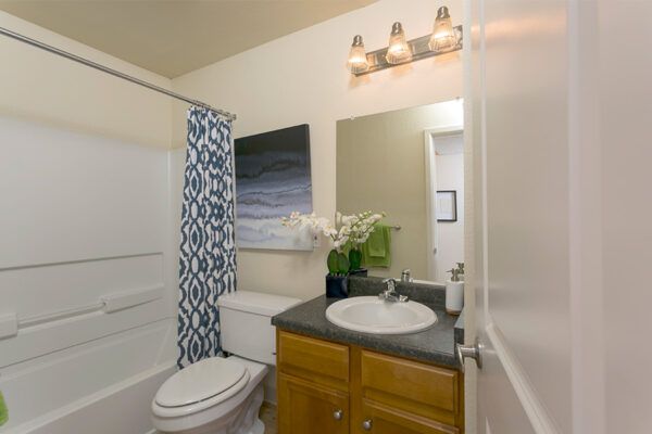 Bathroom with wood cabinets, dark counter, large mirror, and shower tub with curtain.