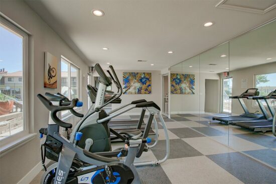 Fitness center with mirror wall, large windows, cardio machines, and weight equipment.