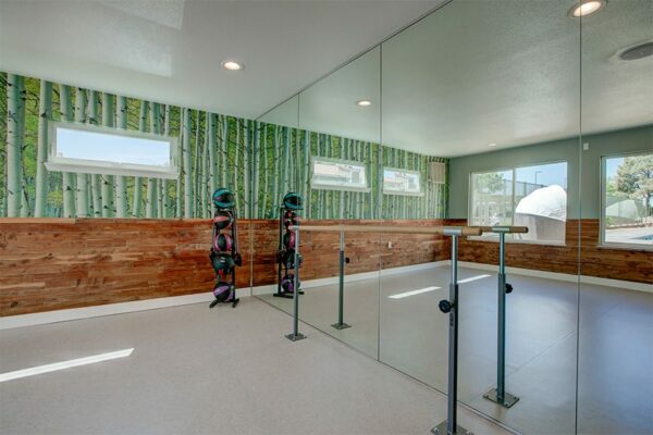 Fitness room with mirror wall, barre equipment, exercise balls, and mural depicting aspen trees.