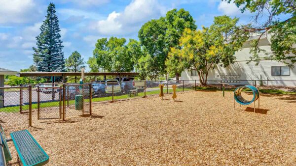 Hadley outdoor dog park.