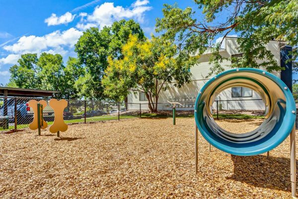 Hadley outdoor dog park.