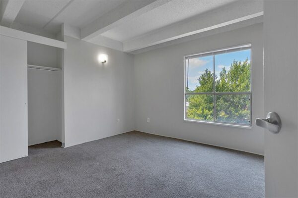 Bedroom with carpet, grey walls, door to closet, and large window.