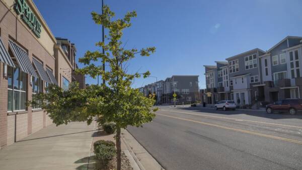 Platt Park Townhomes along street with tall planted trees and Sprouts grocery store.