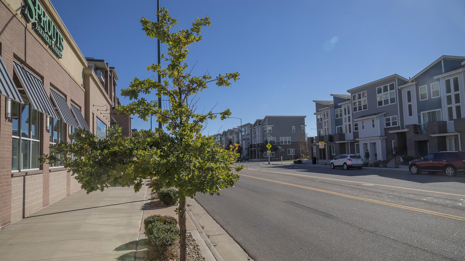 Platt Park Townhomes along street with tall planted trees and Sprouts grocery store.