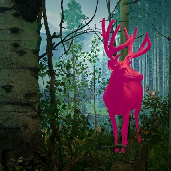 Jason DeMarte's artwork