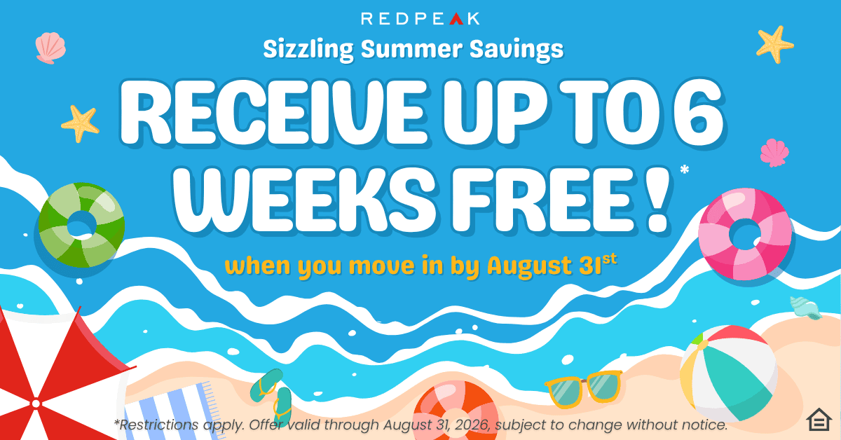 summer campaign graphic