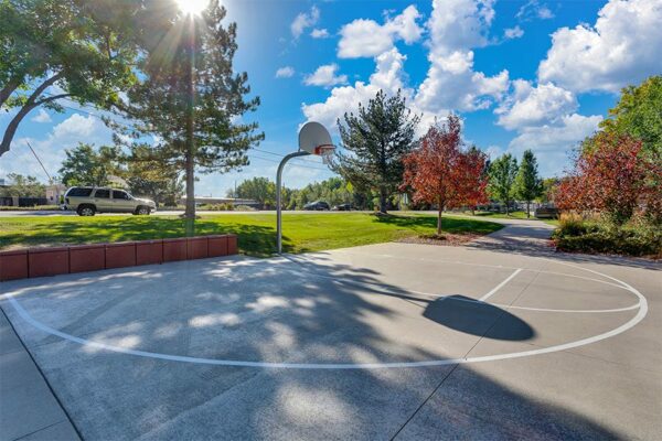 Concrete basketball court surrounded by lushly landscaped park.