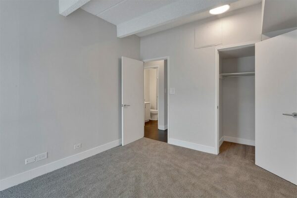 Bedroom with carpet, grey walls, white trim, and doors to hallway and closet.