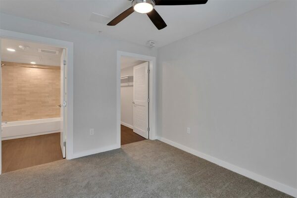 Bedroom with carpet, grey walls, ceiling fan, and doors to closet and bathroom.