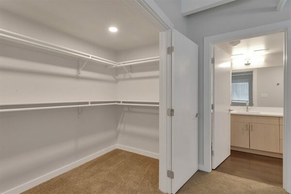 Closet with carpet and built in shelves and bathroom with wood floor and cabinets and large mirror.