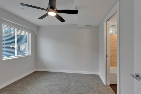 Bedroom with carpet, grey walls, ceiling fan, large windows, and door to bathroom.