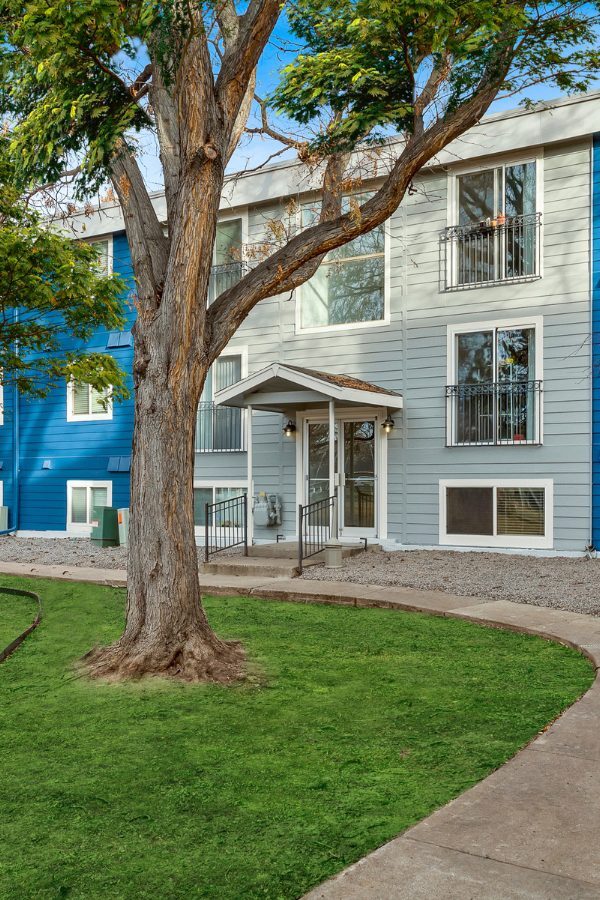 tree in front of apartment community Canopy Creek