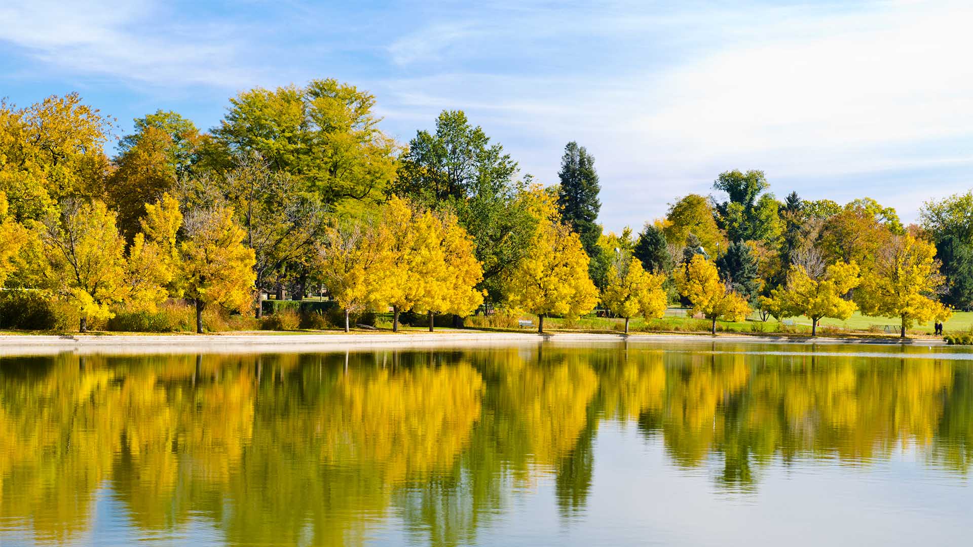 Shoreline with trees in Washington Park.