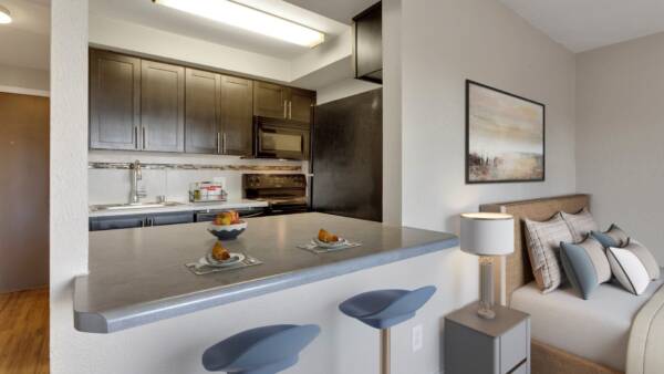 studio apartment with kitchen nook and ben in the living area