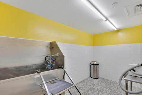 dog wash room