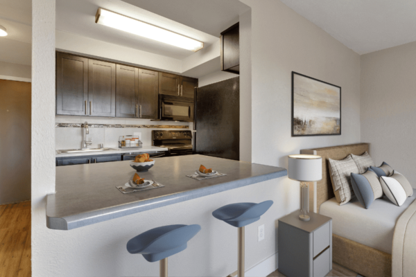 studio apartment with bed in living area and breakfast nook with stools and access to kitchen