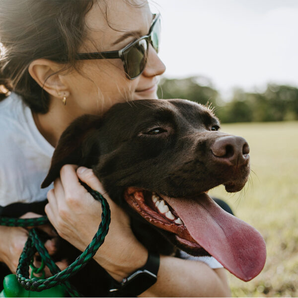 Person with brown ponytail and sunglasses hugging chocolate lab dog.