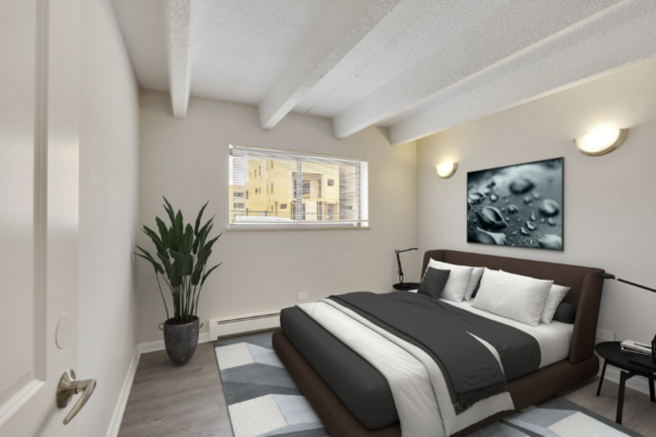 one bedroom with large bed and window