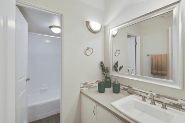 bathroom with one sink and separate door to toilet and bathtub